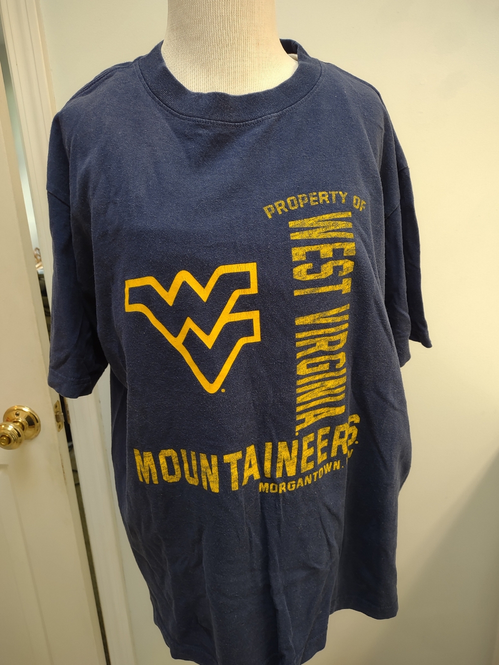 Pro Edge Navy and Gold West Virginia Mountaineers Graphic Tee